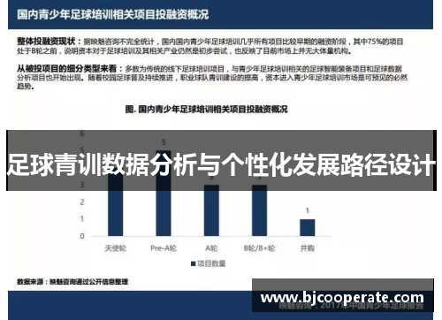 足球青训数据分析与个性化发展路径设计
