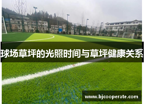 球场草坪的光照时间与草坪健康关系